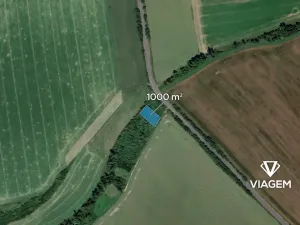 Prodej lesa, Jarohněvice, 1000 m2