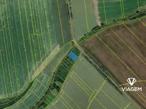 Prodej lesa, Jarohněvice, 1000 m2