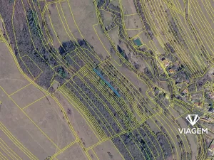 Prodej lesa, Hřivínův Újezd, 621 m2