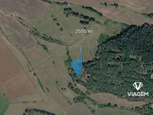 Prodej lesa, Nečín, 2595 m2