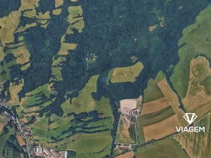 Prodej podílu lesa, Životice u Nového Jičína, 2098 m2