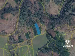 Prodej podílu lesa, Chotěboř, 834 m2