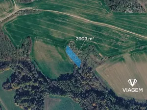 Prodej lesa, Jalubí, 2603 m2