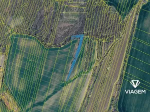 Prodej lesa, Bučovice, 3027 m2