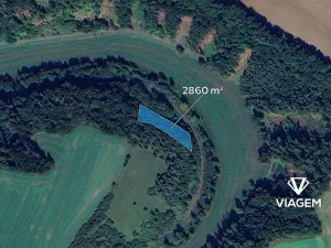 Prodej lesa, Radkov, 2860 m2