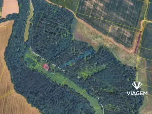 Prodej lesa, Jindřichov, 1945 m2