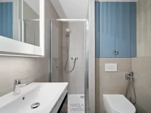 Pronájem bytu 1+kk, Brno, Rybářská, 27 m2