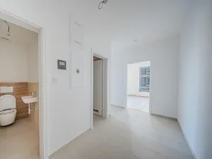 Prodej bytu 2+kk, Plzeň, Borská, 64 m2