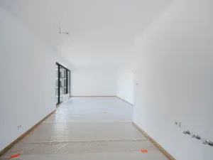 Prodej bytu 2+kk, Plzeň, Borská, 64 m2