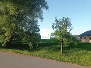 Prodej pozemku pro bydlení, Dubčany, 601 m2