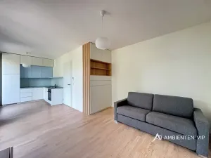 Pronájem bytu 1+kk, Brno, Neumannova, 31 m2