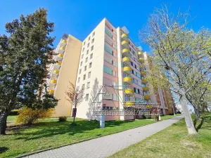 Prodej bytu 4+1, České Budějovice, Netolická, 85 m2