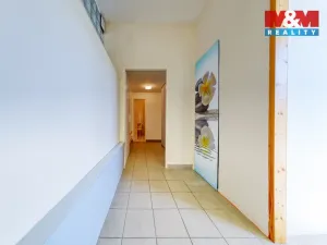 Prodej obchodního prostoru, Písek - Pražské Předměstí, Čechova, 53 m2