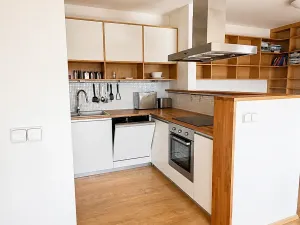 Pronájem bytu 3+kk, Brno, Majdalenky, 120 m2