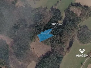 Prodej lesa, Řečice, 5650 m2