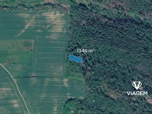 Prodej lesa, Horní Lhota, 1346 m2