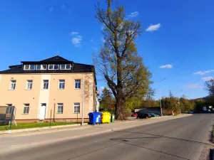Pronájem bytu 1+1, Šumperk, Žerotínova, 45 m2