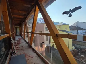 Prodej rodinného domu, Náchod, Komenského, 1000 m2