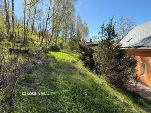 Pronájem rodinného domu, Kraslice, B. Smetany, 168 m2