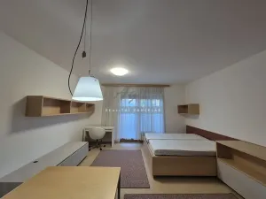 Pronájem bytu 1+kk, Brno, 56 m2