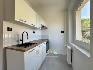 Prodej bytu 2+kk, Teplice, Písečná, 40 m2