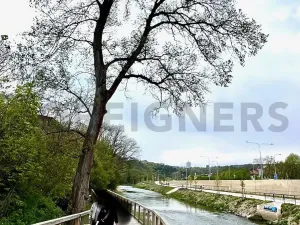Pronájem bytu 2+kk, Brno, Kamenná, 54 m2