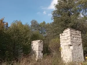 Prodej pozemku pro bydlení, Adršpach - Dolní Adršpach, 9122 m2
