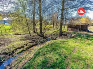Prodej rybníku, Sadov, 5701 m2