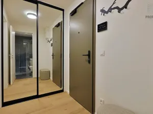 Pronájem bytu 1+kk, Brno, Bratislavská, 44 m2