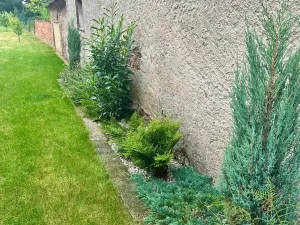 Prodej rodinného domu, Čistá, Tyršova, 130 m2