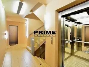 Pronájem bytu 3+kk, Praha - Žižkov, Prokopova, 71 m2