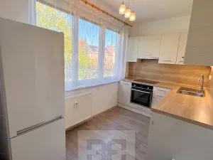 Pronájem bytu 3+1, Strakonice, Luční, 84 m2