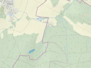 Prodej lesa, Kolinec - Buršice, 3423 m2