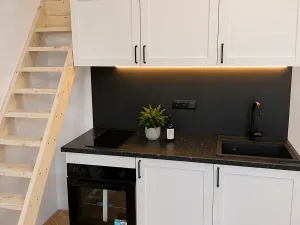 Pronájem bytu 1+kk, Praha - Vinohrady, Velehradská, 25 m2