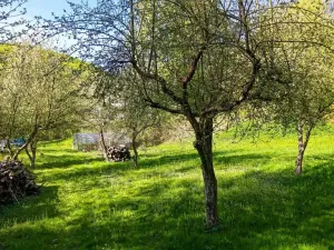 Prodej zahrady, Mírov, 2114 m2