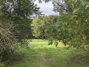 Prodej pozemku pro bydlení, Kladno, Jar. Seiferta, 4912 m2