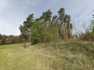 Prodej zemědělské usedlosti, Slabčice, 109 m2
