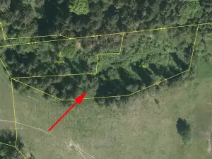Prodej louky, Horní Dvořiště, 3918 m2