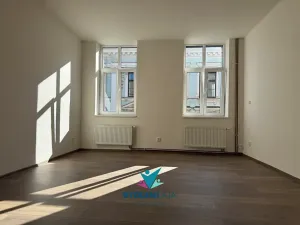 Pronájem bytu 1+kk, Ústí nad Labem, Bratislavská, 45 m2