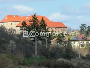 Prodej vily, Dolní Kounice, Zámecká, 270 m2