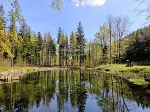 Prodej rodinného domu, Krásná, 200 m2