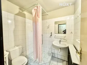 Prodej vily, Jiřetín pod Jedlovou, Tolštýnská, 600 m2