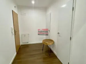Pronájem bytu 3+kk, Tábor, Fibichova, 101 m2