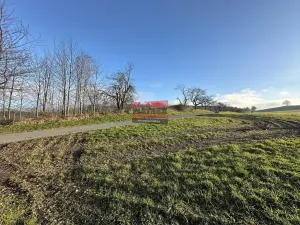 Prodej louky, Votice, Klášterní, 6623 m2