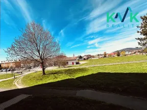 Prodej bytu 2+1, Ostrov, Družební, 66 m2