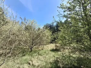 Prodej komerčního pozemku, Dalovice, 18373 m2