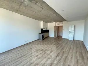 Pronájem bytu 1+kk, Brno, 38 m2