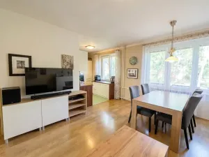 Prodej bytu 2+1, Lovosice, Sady pionýrů, 54 m2