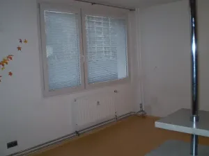 Pronájem bytu 3+kk, Pardubice, Gagarinova, 78 m2