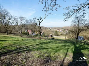 Prodej pozemku pro bydlení, Kopidlno, Na Vinici, 8371 m2
